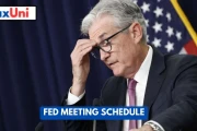 The FOMC Rate Decision: What the Data Suggests About Powell's Guidance and the Next Move