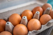 Massive Egg Recall: Another Salmonella Scare and How to Check if You're at Risk