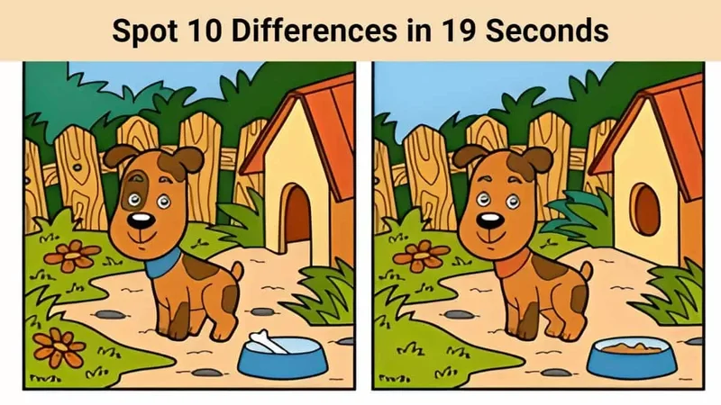 Spot Stock: Q3 Earnings Beat Estimates and Leadership Shift