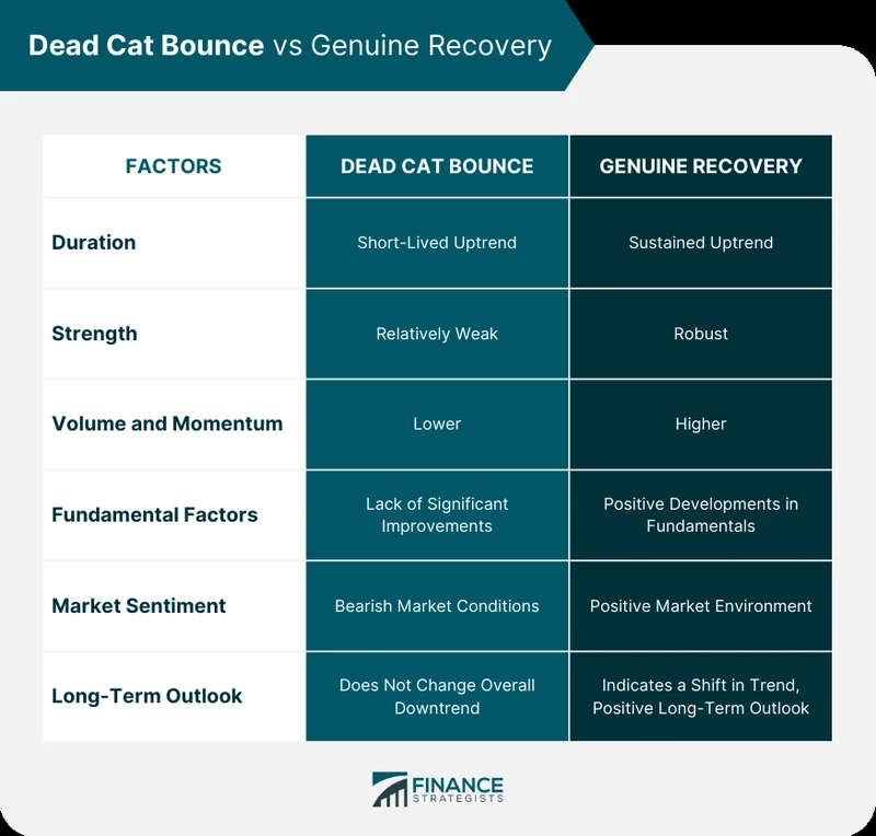 BTC Recovery: Data Reveals Dead-Cat Bounce.